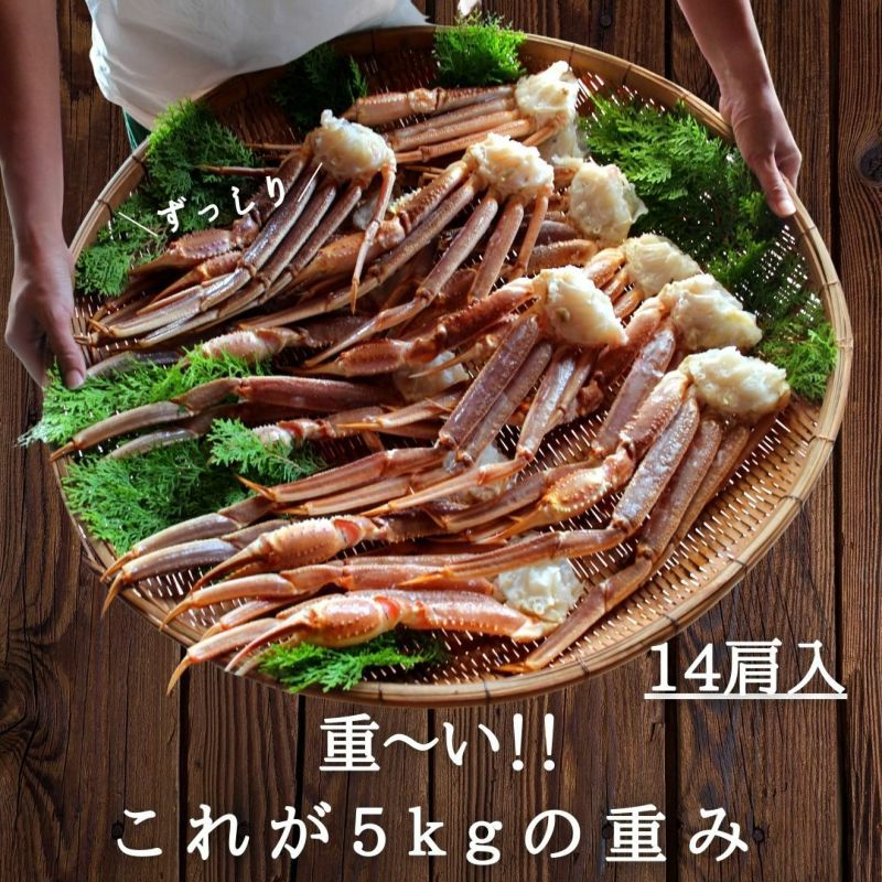 最新作の 000000000040-03-l.jpg?t= 魚介類(加工食品)