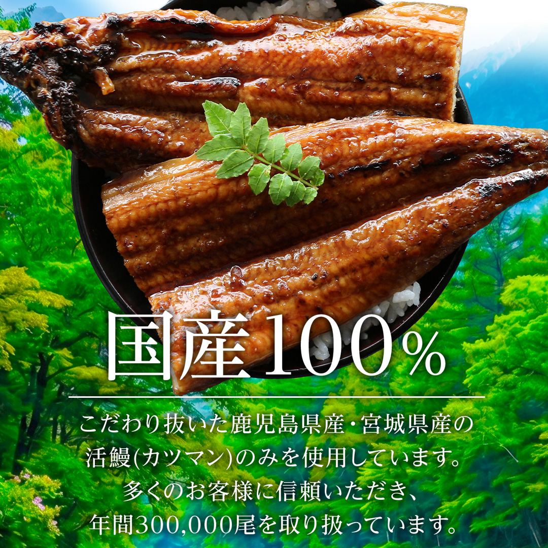 お歳暮 ギフト 特大うなぎ蒲焼(185g～215g）x2本 送料無料 国産 九州