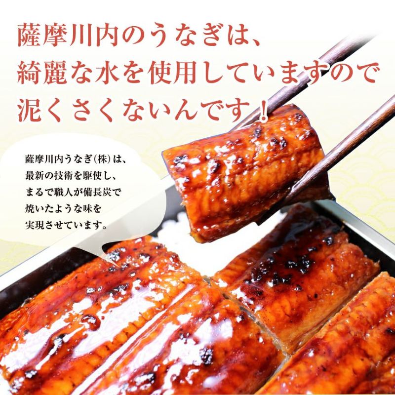 早割200円OFF】 父の日 ギフト 特大うなぎ蒲焼(185g~215g)x2 早割200円OFF】 父の日 ギフト 特大うなぎ蒲焼(185g~215g)x2