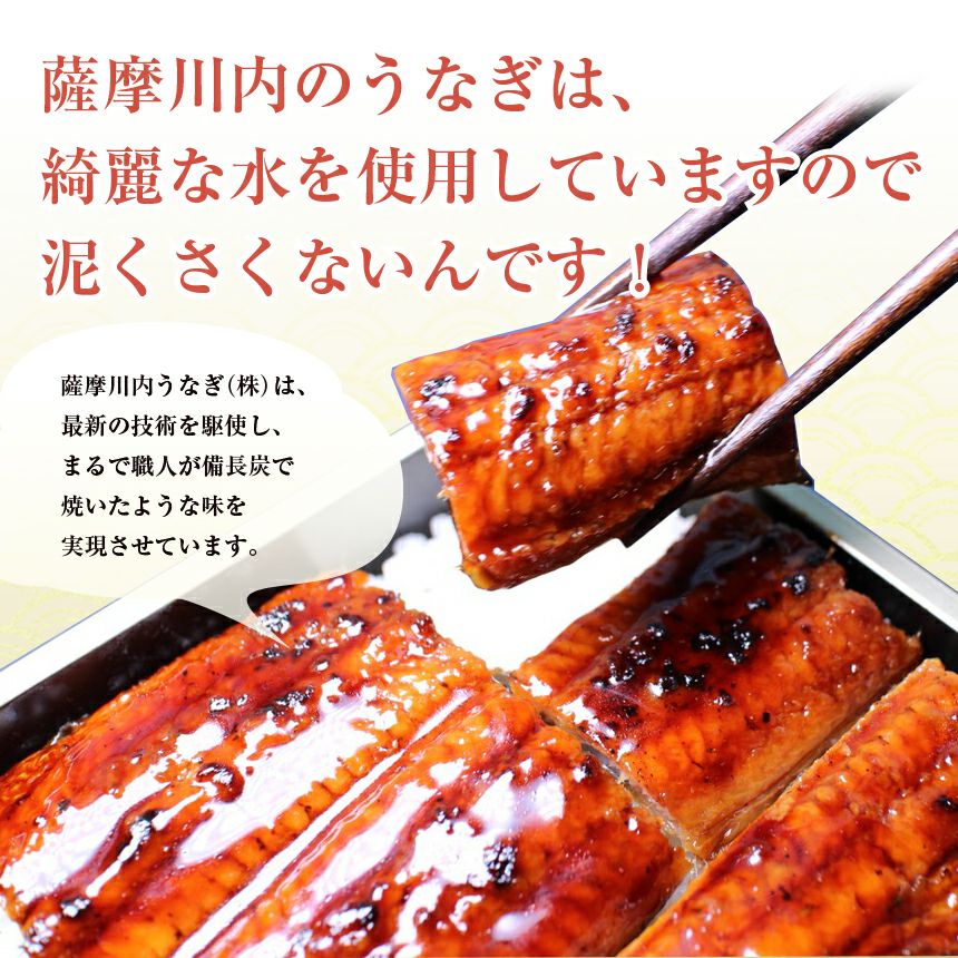 特大うなぎ蒲焼(185g～215g）x3本 送料無料 国産 九州産 最安値挑戦