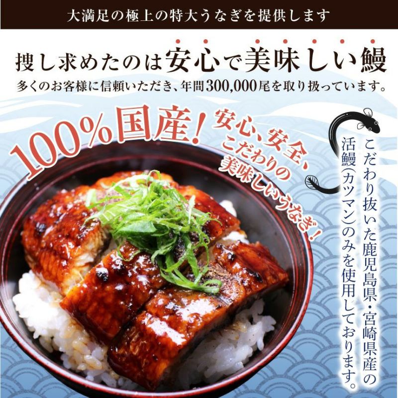 うなぎ蒲焼き(有頭1匹約250グラム)5匹セット うなぎ蒲焼き(有頭1匹約250グラム)5匹セット