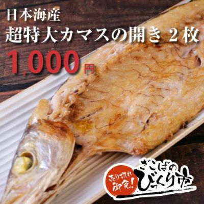 超特大カマスの開き 2枚 かます　干物