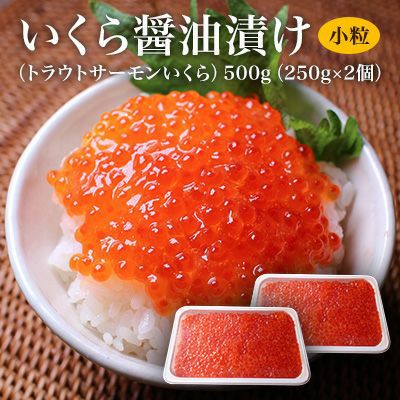 いくら 北欧サーモン 小粒 醤油漬け２５０ｇ ２個 500g 送料無料 ざこばの朝市 公式オンラインショップ ざこばの朝市お取り寄せ 海鮮 通販 コスパカニ うなぎ いくらなど厳選海の幸を市場直送