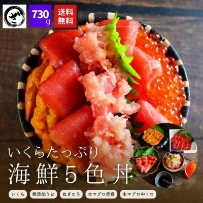 5色海鮮丼セット》【送料無料】本マグロ（赤身・中トロ