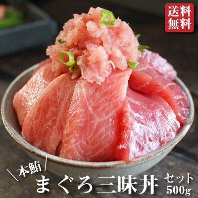 まぐろ三昧海鮮丼》【送料無料】本マグロ (大トロ 中トロ 赤身 ねぎ