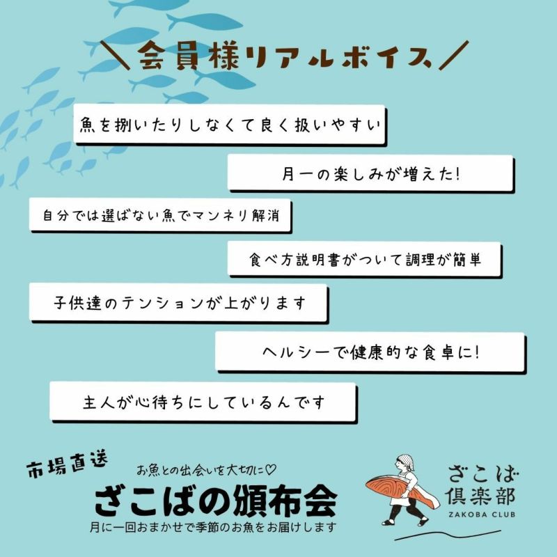 リピーター様　注文ページ 頒布会】ZAKOBA CLUB 《はぐくみコース》 定期便 サブスク