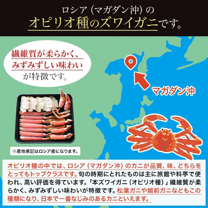 極上【特大】生ズワイガニ 800g 【総重量 1kg】 （2～3人前）特大