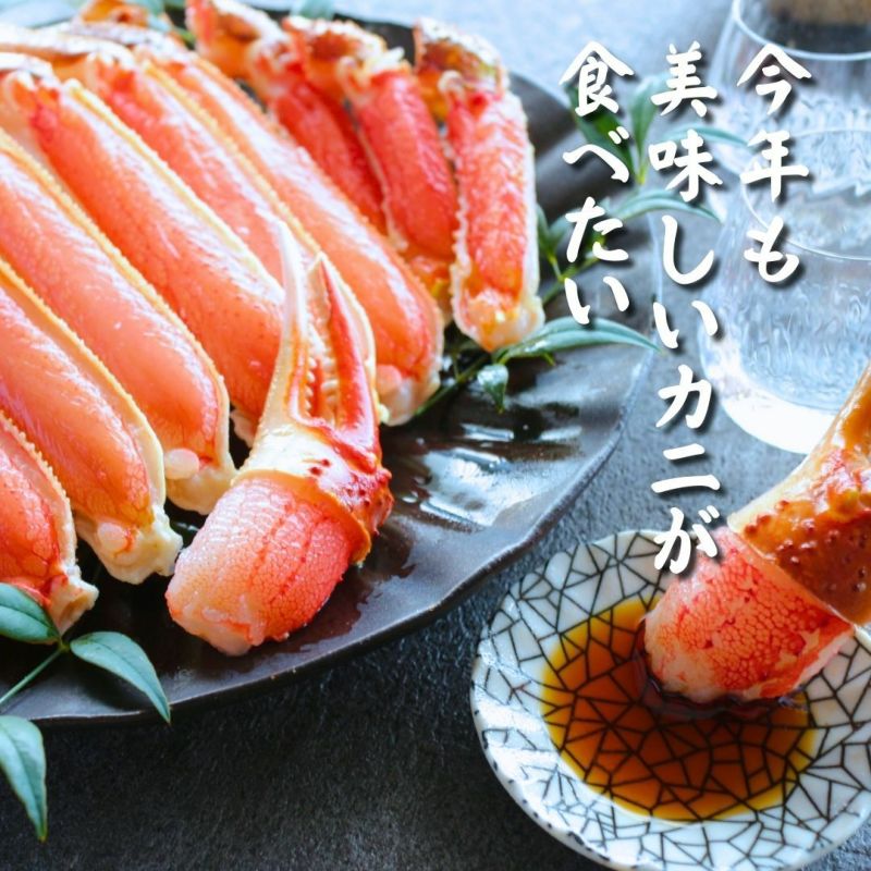極上【特大】生ズワイガニ 1.6kg 【総重量 2kg】 （800g×2p）（3～6
