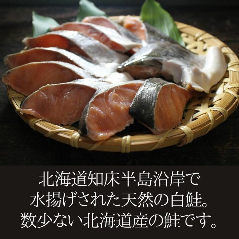 kiuhou0350　秋鮭 kiuhou0350様専用 秋鮭