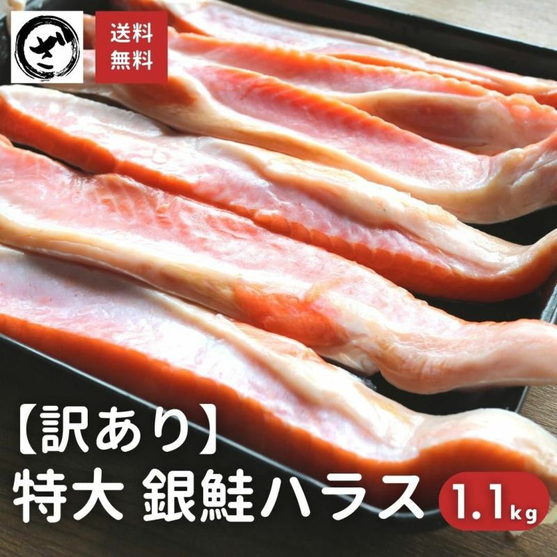 訳あり　銀鮭 ハラス 特々大サイズ 甘塩 約1.1kg 送料無料