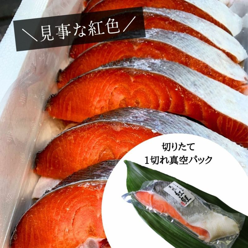 売り切り価格　310g以上　国産　珊瑚　原木　まとめ売り 1024-140-1c.jpg