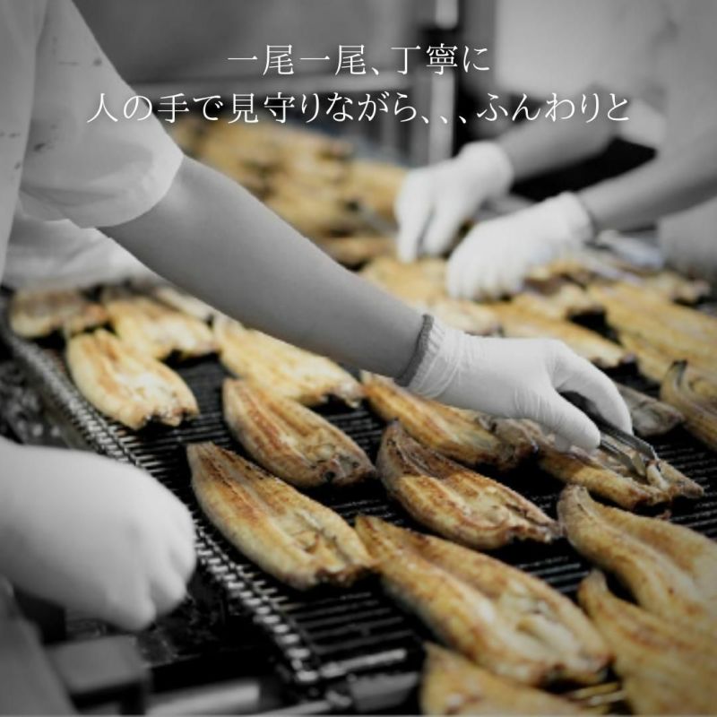 ［お得なまとめ売り！］［鰻20尾］［一色産うなぎ］蒲焼　白焼　国産鰻　送料込み！ 国産 うなぎ蒲焼・白焼 各1尾入 1尾約169g / 国産うなぎ通販
