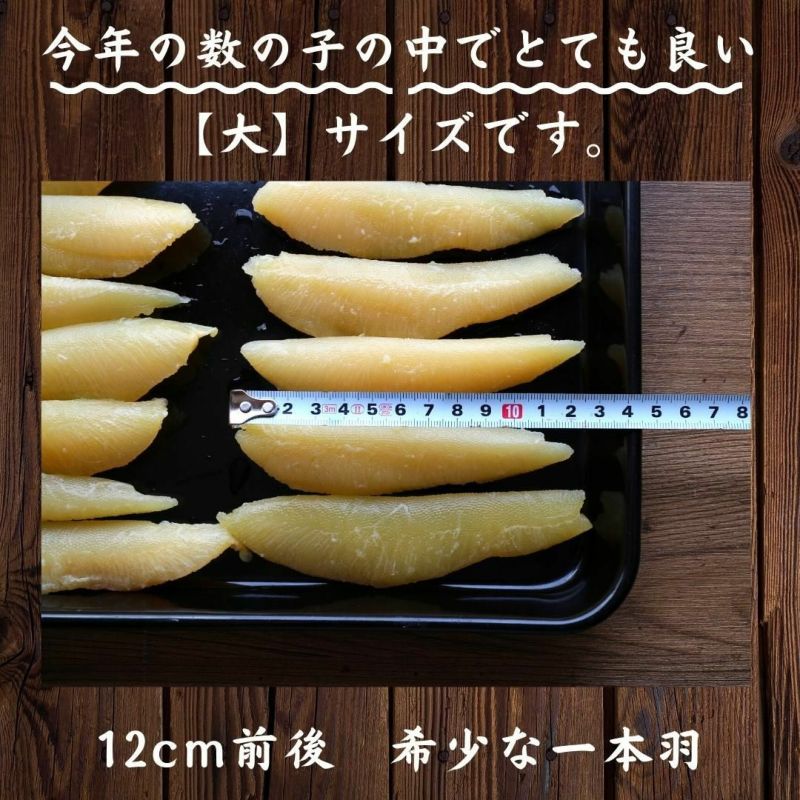 日曜日限定特売【ヤマニ アラスカ産 特大サイズ 塩数の子】約 1kg 天然 塩数の子 アラスカ産 特大サイズ 1kg 1本物 送料無料 本