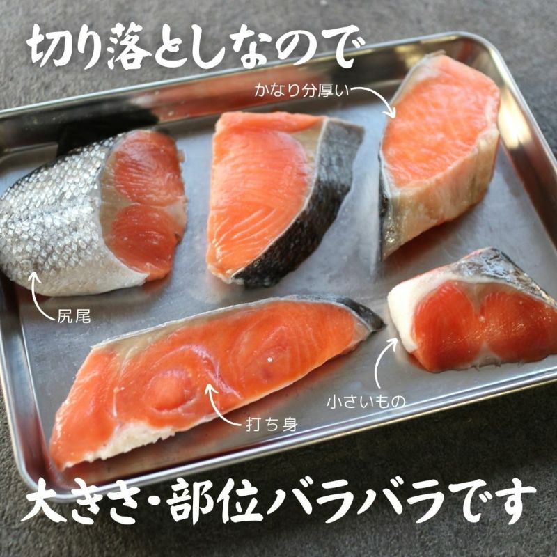 あざとブック vol.1 かねこ鮭 あざとブック vol.1 かねこ鮭 かねこ鮭 on X:
