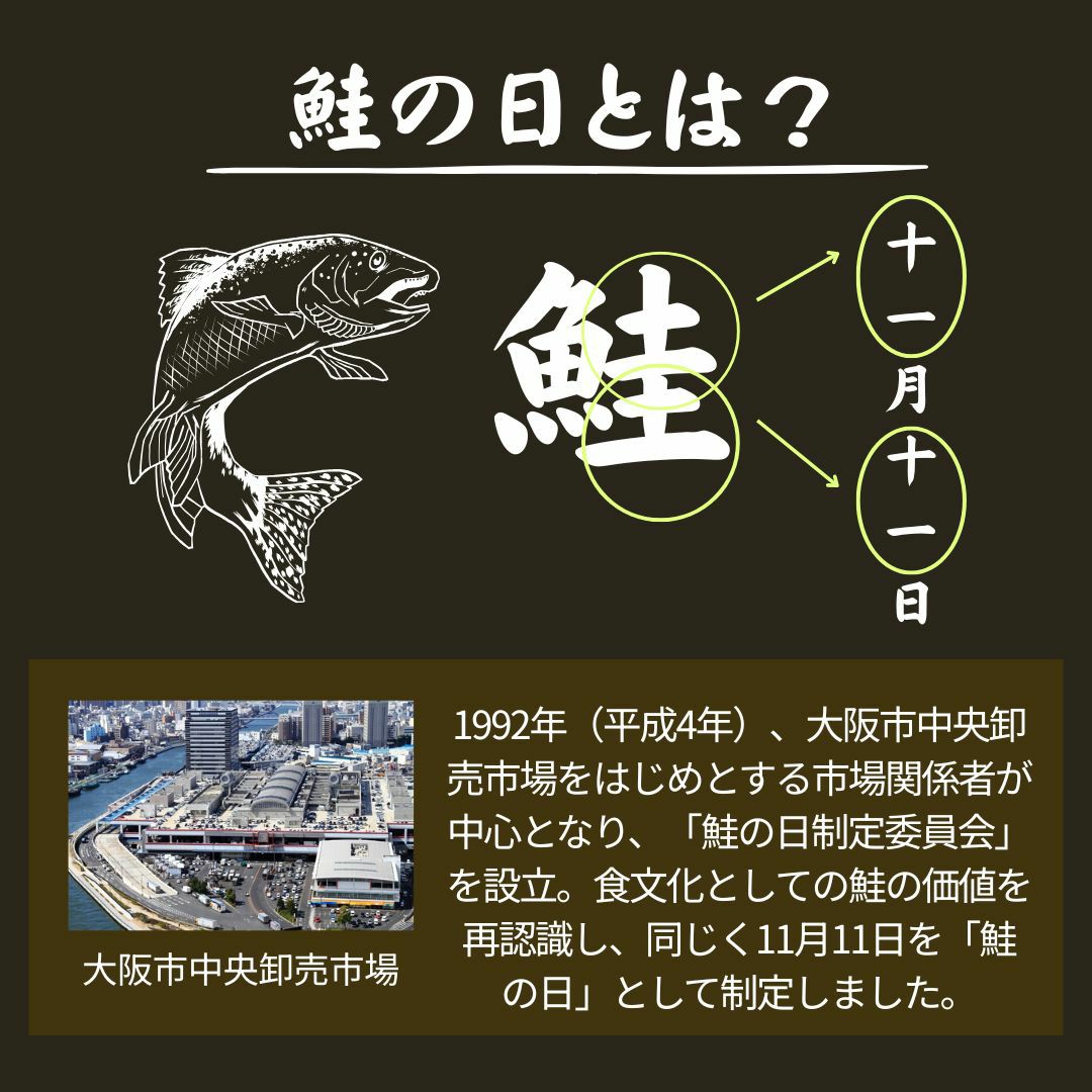 天然紅鮭「べっぴんさん」ぽっちゃり プロカット約1.1kg 【送料無料