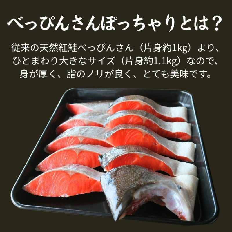 天然紅鮭「べっぴんさん」ぽっちゃり プロカット約1.1kg 【送料無料