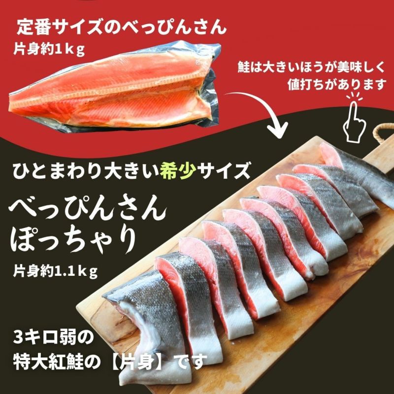 天然紅鮭「べっぴんさん」ぽっちゃり プロカット約1.1kg 【送料無料