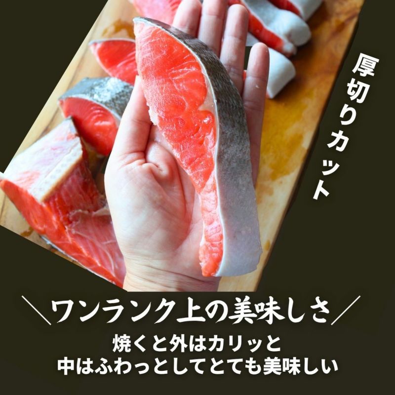 天然紅鮭「べっぴんさん」ぽっちゃり プロカット約1.1kg 【送料無料