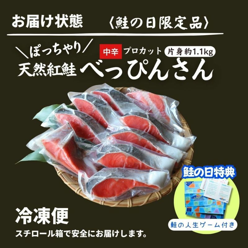 天然紅鮭「べっぴんさん」ぽっちゃり プロカット約1.1kg 【送料無料